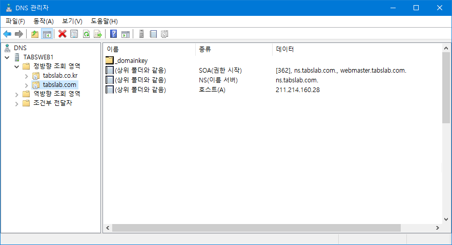 dns main